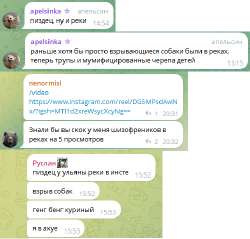 482x461