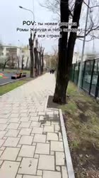 480x852