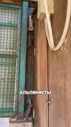 360x640