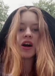 366x500