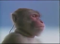 320x240