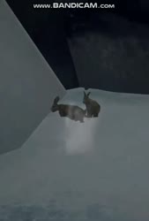 448x660
