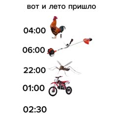 720x720