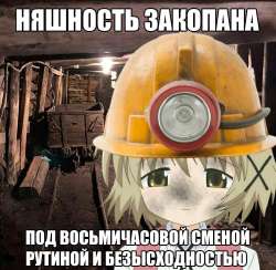 735x720