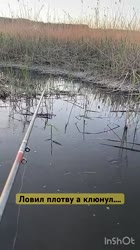 360x640