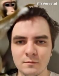 288x368