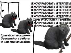 1280x954