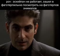 514x480
