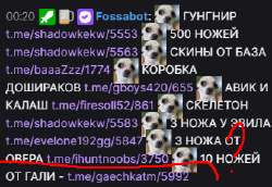 335x231
