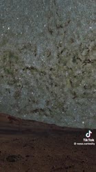 460x818