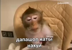 480x336