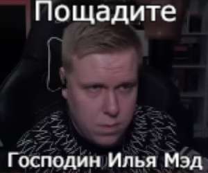 454x379