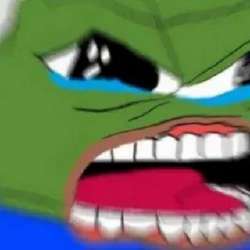 320x320