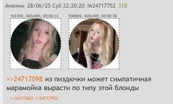 748x449