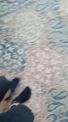 720x1280