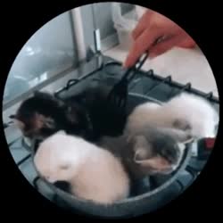 320x320
