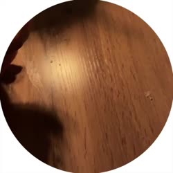 400x400
