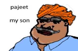 489x318