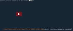 782x342
