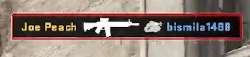 301x69