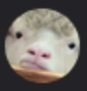 172x181