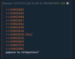 496x390