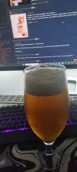 2080x4624