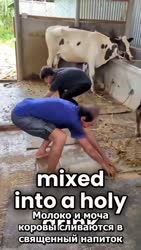 720x1276