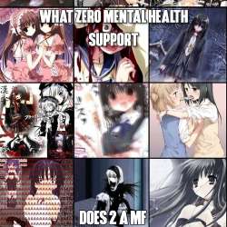 736x736