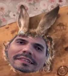 399x442