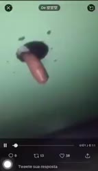 244x426