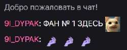 295x117