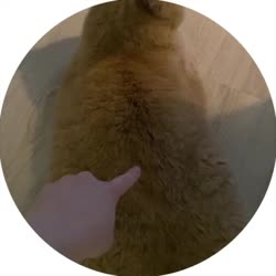 400x400