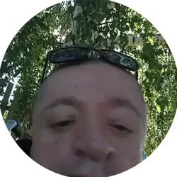 384x384