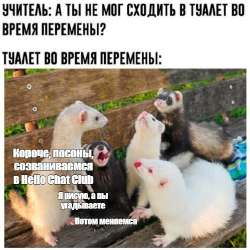 576x576