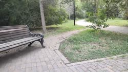 640x360