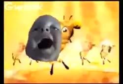 320x218