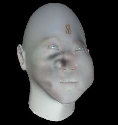 372x394