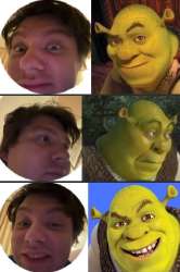 430x645