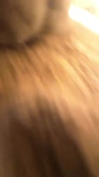 460x816