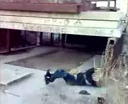 440x360