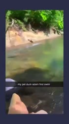 360x640