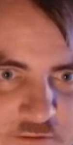 292x578