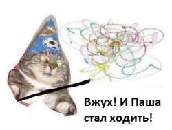 493x373