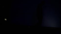 1280x720