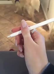 388x530