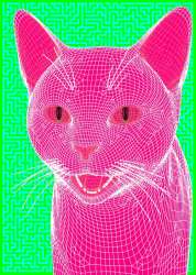 500x700
