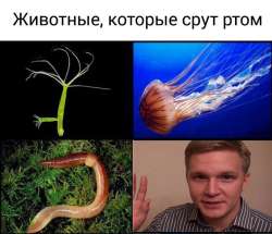 720x620