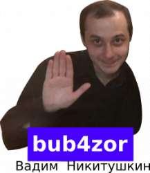 251x288