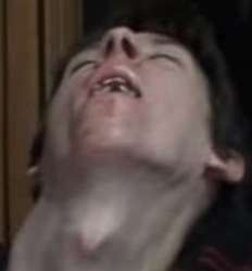 420x452